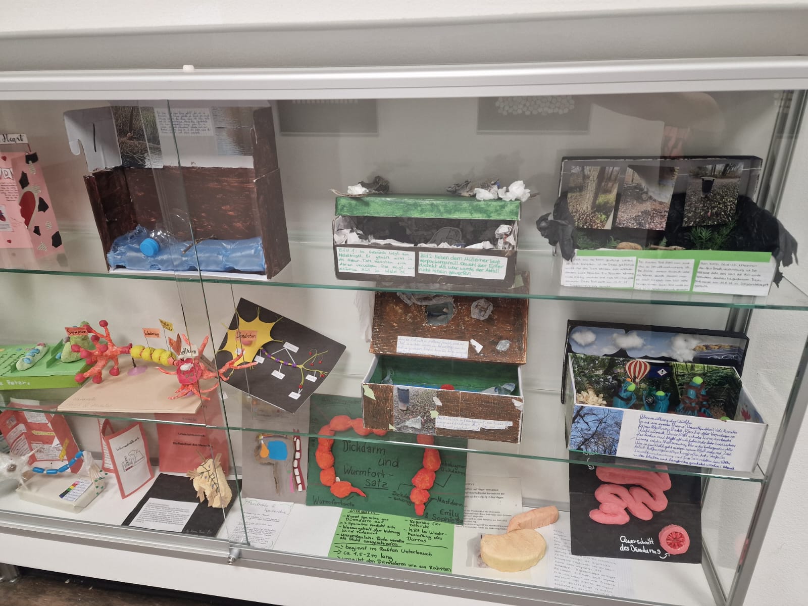 Umwelt im Schuhkarton: Ausstellung der Junior-Ingenieur-Akademie im Fachhaus