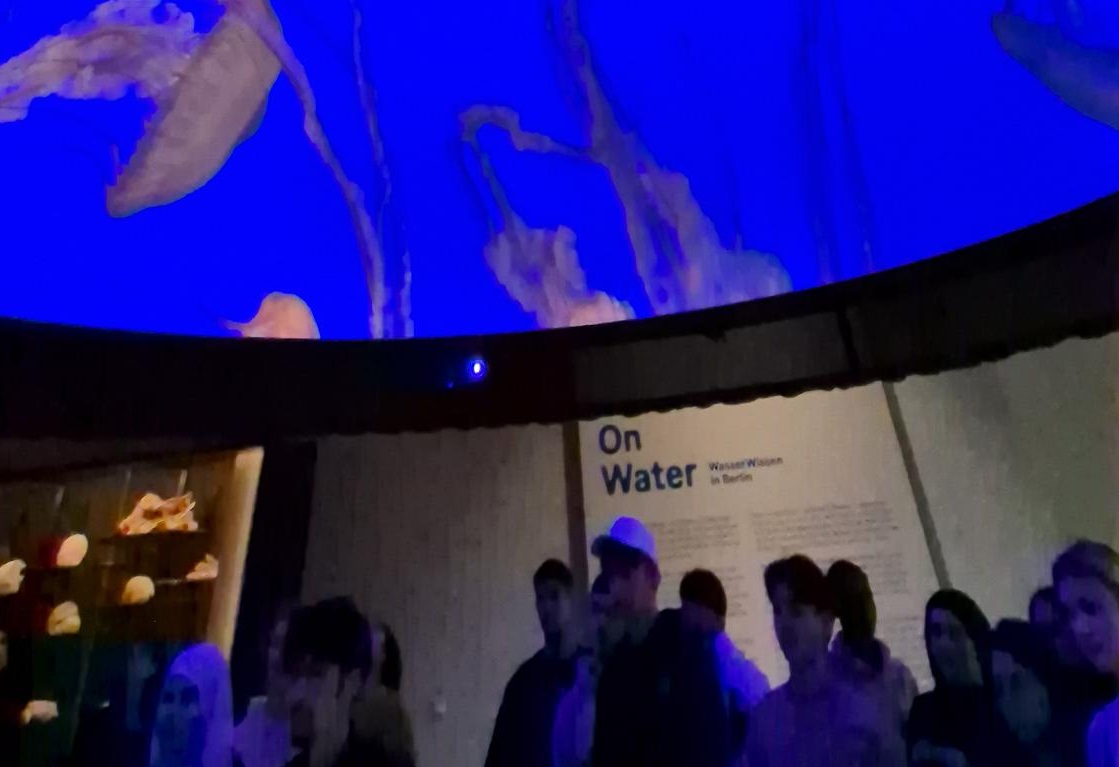 Klasse 10c bei „On Water“ im Humboldt Forum