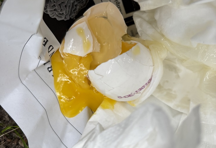 Die Egg Drop Challenge – Wenn Englisch auf Ingenieurskunst trifft